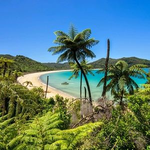 Meet your Posher, Ally